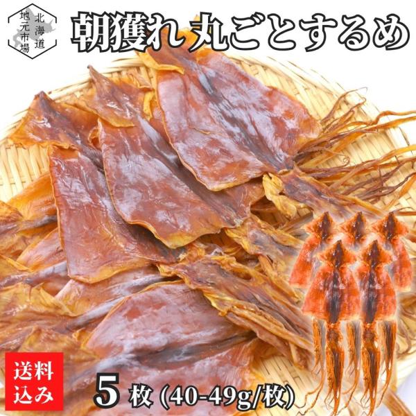 北海道産 丸ごとするめ 5枚 40-49g/枚 無添加 無塩 国産 スルメイカ 朝獲り あたりめ げそ いか足 珍味 おつまみ 晩酌 家飲み 肴 おやつ 夏ギフト 敬老の日