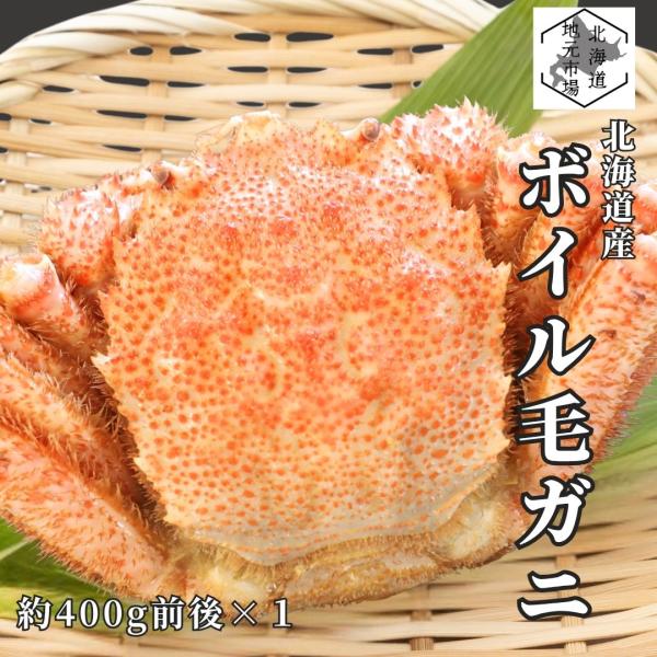 北海道 毛ガニ 約400g×1尾 活茹で 冷凍 毛がに ボイル 毛蟹 姿 ケガニ 国産 堅蟹 カニ かに 蟹味噌 海鮮 高級 贈答 プレゼント お取り寄せ 夏ギフト 敬老の日
