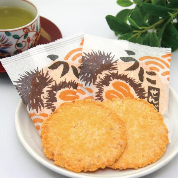 ׂ ɂׂ 2×9 CN  ٓyY ݂₰ kC َs  ^