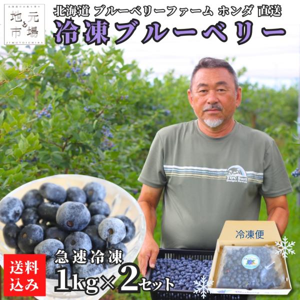 お中元 無添加 北海道産 冷凍ブルーベリー 予約 2kg(1kg×2袋) 朝採り ブルーベリーファームホンダ 冷凍果実 ジャム ヨーグルト スムージー 夏ギフト 爆買