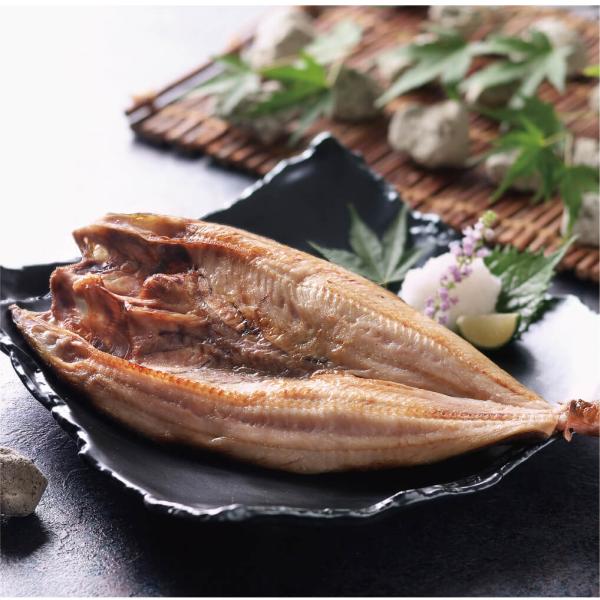  ق J (LTCY 350g× 10) yΊ zbP 銱 kC  CGDX  D