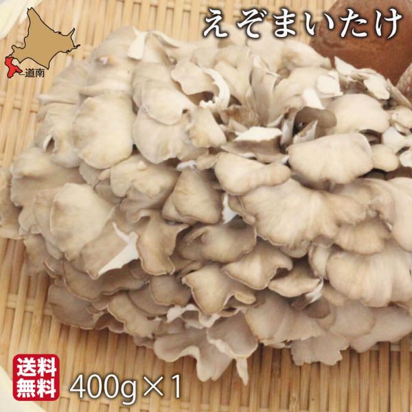 北海道 朝採り えぞまいたけ 400g×1株 舞茸 厚沢部 まいたけ マイタケ 蝦夷 新鮮 国産 きのこ 野菜 産地直送 渋田産業 高級 贈答 お取り寄せ ギフト お歳暮