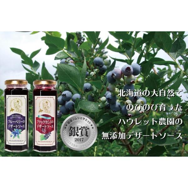 無添加 カシス ブルーベリー デザートソース 詰め合せ ギフト セット 各150g 2本入 北海道 北斗 自然栽培 フルーツ 送料無料 産地直送 ハウレット農園 Buyee 日本代购平台 产品购物网站大全 Buyee一站式代购 Bot Online