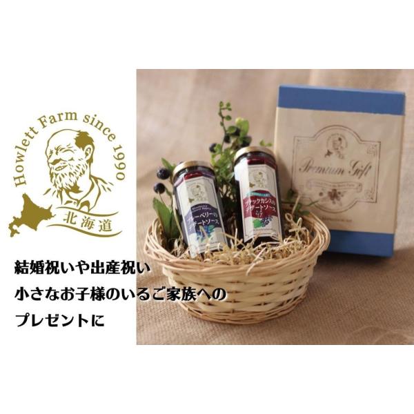 無添加 カシス ブルーベリー デザートソース 詰め合せ ギフト セット 各150g 2本入 北海道 北斗 自然栽培 フルーツ 送料無料 産地直送 ハウレット農園 Buyee 日本代购平台 产品购物网站大全 Buyee一站式代购 Bot Online