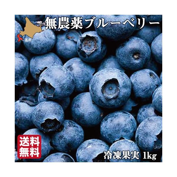 ⭐令和4年　冷凍ﾌﾞﾙｰﾍﾞﾘｰ⭐無農薬　5㌔ 楽天市場】オーガニック 冷凍 ブルーベリー 1kg（200g×5パック