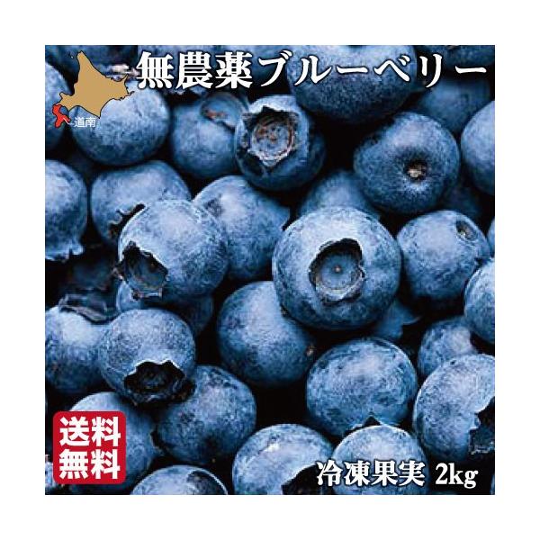 無農薬 ブルーベリー 冷凍」の人気商品一覧 | 安い商品を通販