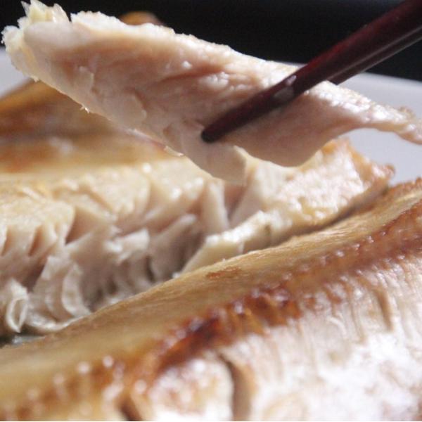 父の日 ほっけ 北海道 開き 大サイズ 3尾 魚 生冷凍 通販 国産 上ノ国 根ほっけ ホッケ 脂 肉厚 干物ではなく生を急速冷凍 送料無料 お中元 Buyee Buyee Japanese Proxy Service Buy From Japan Bot Online