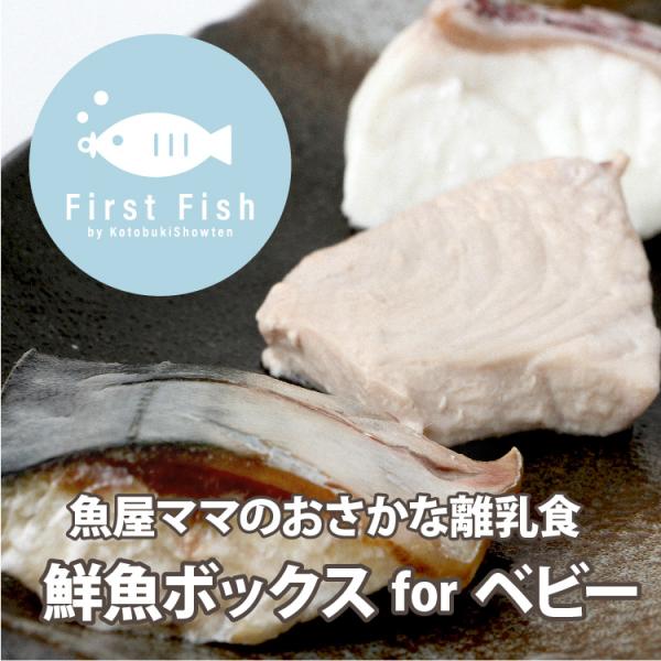 【First Fish/離乳食】選べるコース！おまかせ 鮮魚ボックスforベビー 約２週間  白身 or 白身・赤身 or白・赤・青（３種類/10 g×6袋）