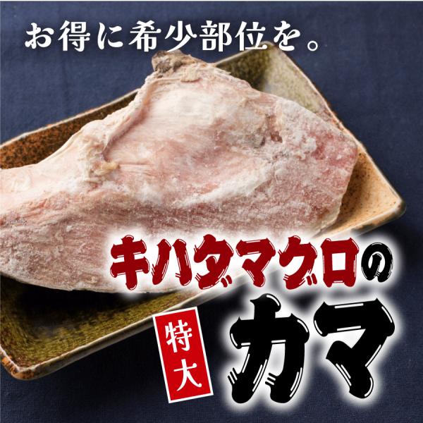 ※仕入れや製造により、予告なくパッケージや包装、メーカーが変わる場合があります商品の情報品名：キハダマグロのかま産地、加工地：国内、東南アジアサイズ、規格、内容：1個200g-400gの不定量配送便等の条件：冷凍便同梱可保存方法：冷凍保存