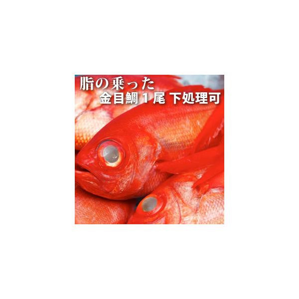 ylCiEⓀցzڑi߂EL_Cj11sʂ̊ԗⓀ֔̂݁tyוsׁ̈A͂ɂɂ𒸂ꍇ܂z