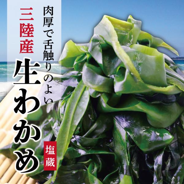 【品名】三陸産　生わかめ【水場】三陸【内容量】約200ｇ【配送便等の条件】ネコポス便（１商品につき１便です、複数の商品をご購入頂いた場合は別途ネコポス送料を頂戴するか同梱で送料を修正させていただきます）冷凍・冷蔵便同梱可【賞味期限】製造から...