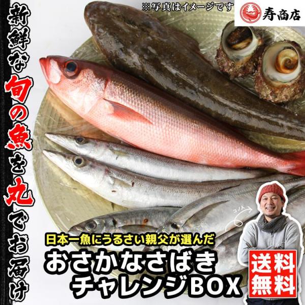 魚屋の森さん】【送料無料】＜国産商品/おさかなさばき