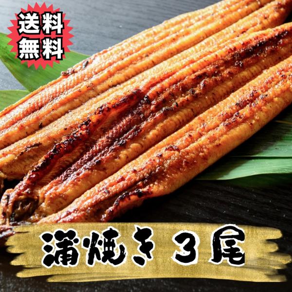 送料無料】＜国産鰻！炭火で焼きあげた国産活うなぎ蒲焼き3匹