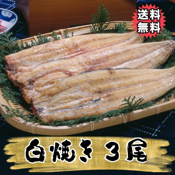 送料無料】＜国産鰻！炭火で焼きあげた国産活うなぎ白焼き3匹「専用鰻
