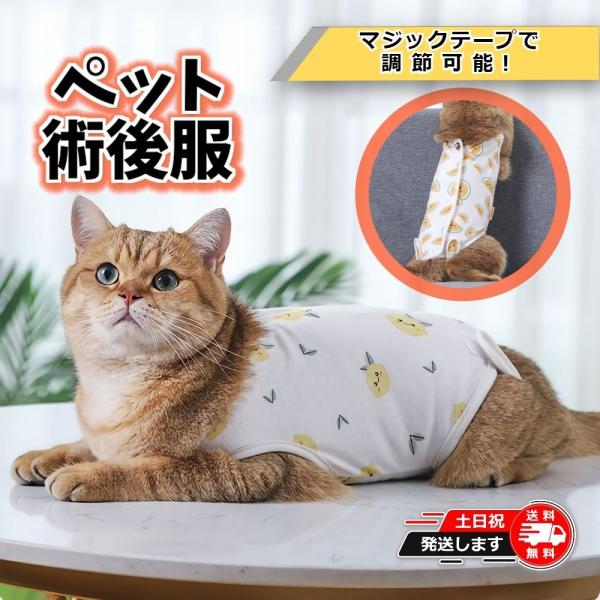 猫 術後服 メス マジックテープ 避妊手術 離乳 傷 : 輸入雑貨スマート