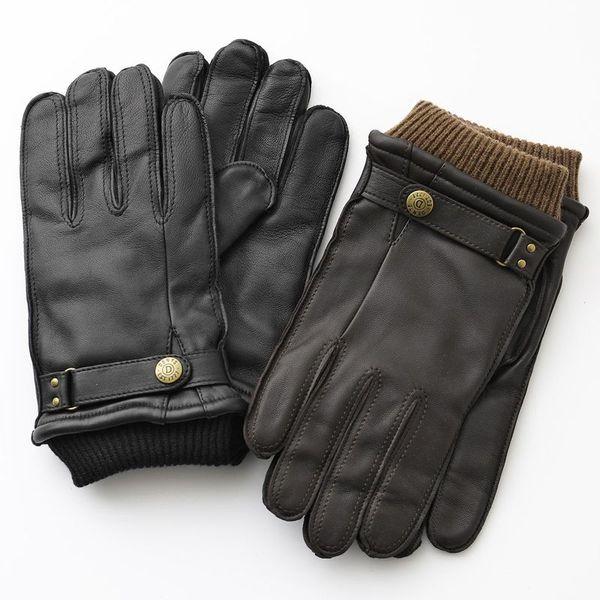 DENTS（デンツ） 手袋 Penrith HAIR SHEEP 5-9018 メンズ シープレザー