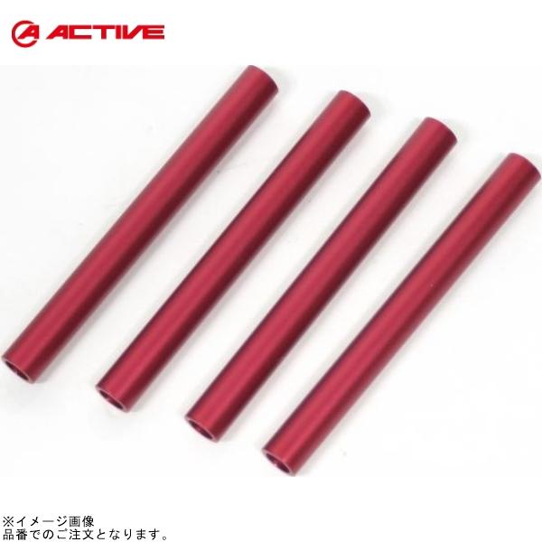 ACTIVE アクティブ 1051342 ストレートコア用 サイドカラーセット 13段