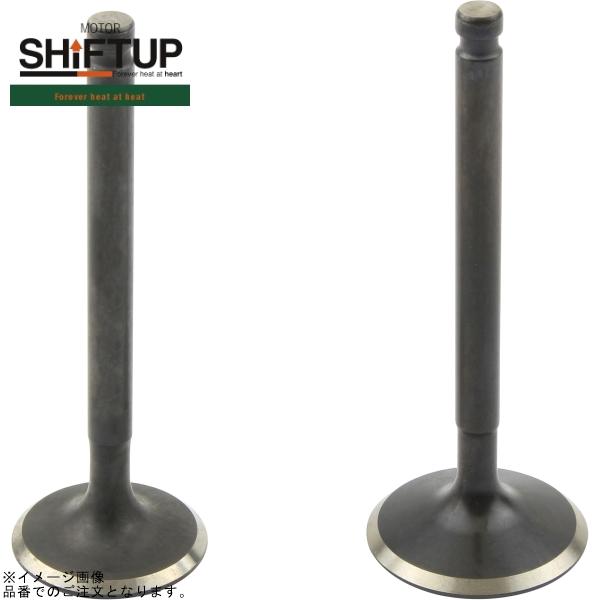 シフトアップ SHIFTUP 205588-VL-10 モンキー ハイレボリューション