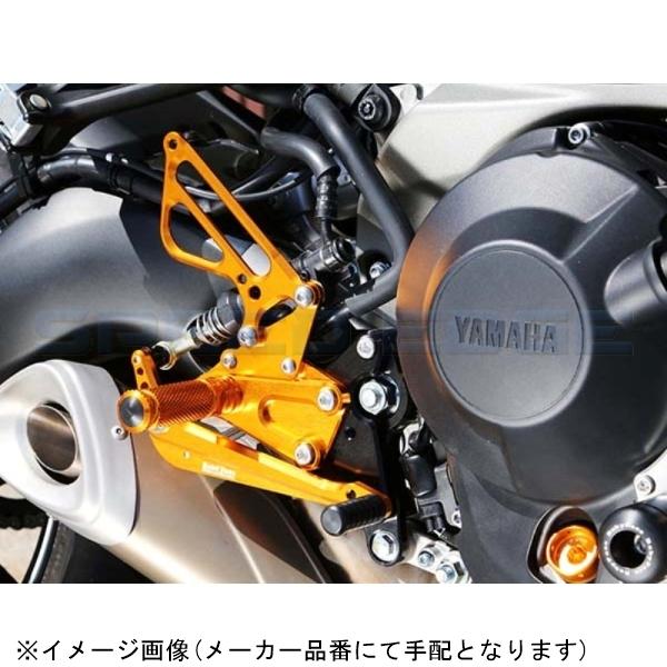 002 Y016gd Baby Face ベビーフェイス バックステップ ゴールド 8p Mt 09 Abs Xsr900 S Need 通販 Yahoo ショッピング