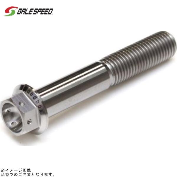 GALE SPEED ゲイルスピード SH1012560S チタン フランジボルト