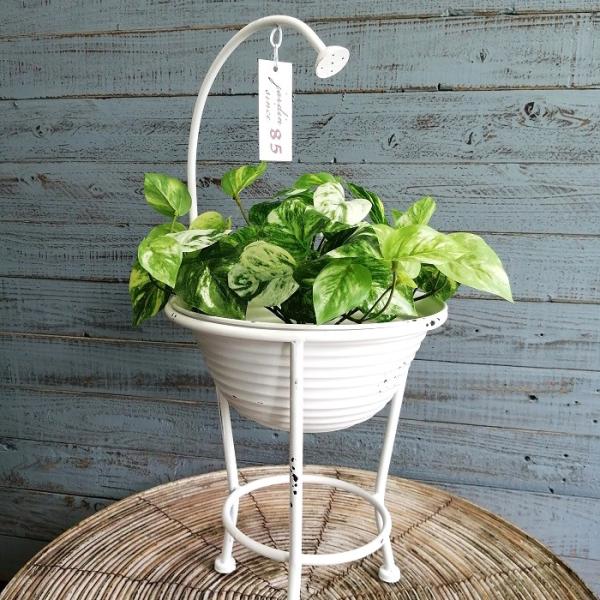 L3501-20-1 英国アンティーク ブリキ バケツ ガーデニング アンティーク 2連 ブリキ バケツ HEARTFUL GARDEN ガーデニング