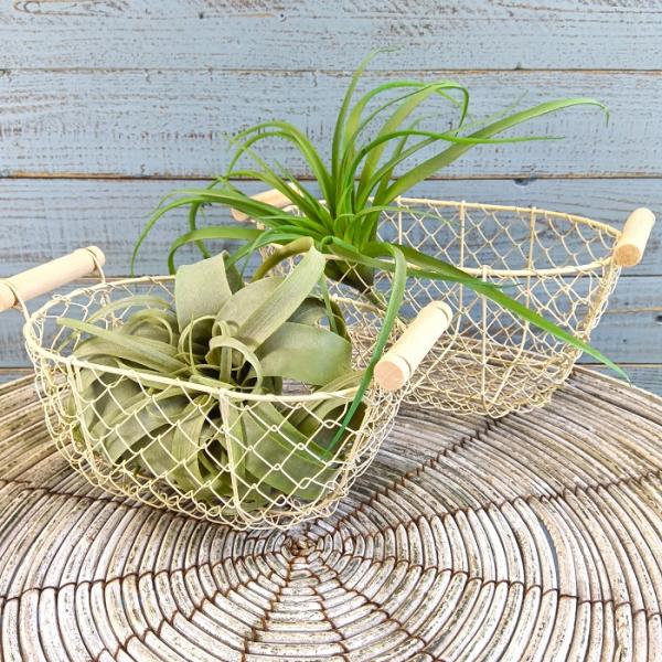 アンティークバスケット　カゴ アンティークカゴ | STORES