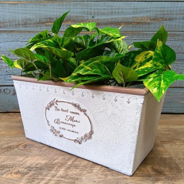 ガーデニング 雑貨 樹脂ポット 軽量 プラスチック鉢 植木鉢 鉢
