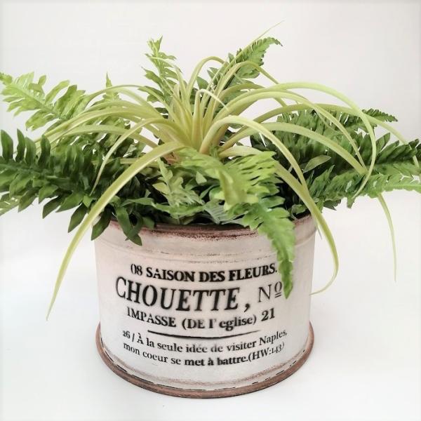 K[fjO G uL|bg Aؔ  Jo[ v^[ uL oPc AeB[N  VEGbgJWH YZ-UN1438-80