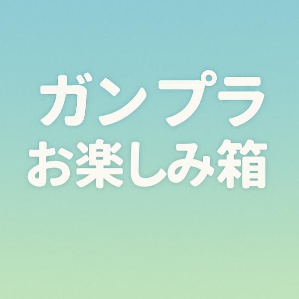 レアキットが入ったガンプラお楽しみ箱！※中古商品が入る場合もございます。予めご了承ください。
