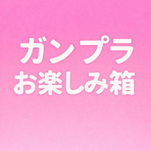 レアキットが入ったガンプラお楽しみ箱！※中古商品が入る場合もございます。予めご了承ください。