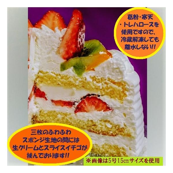 バースデーケーキ おたんじょうびケーキ 生クリーム21センチ 送料無料 北海道は918円 沖縄は704円必要 Buyee Buyee 日本の通販商品 オークションの代理入札 代理購入