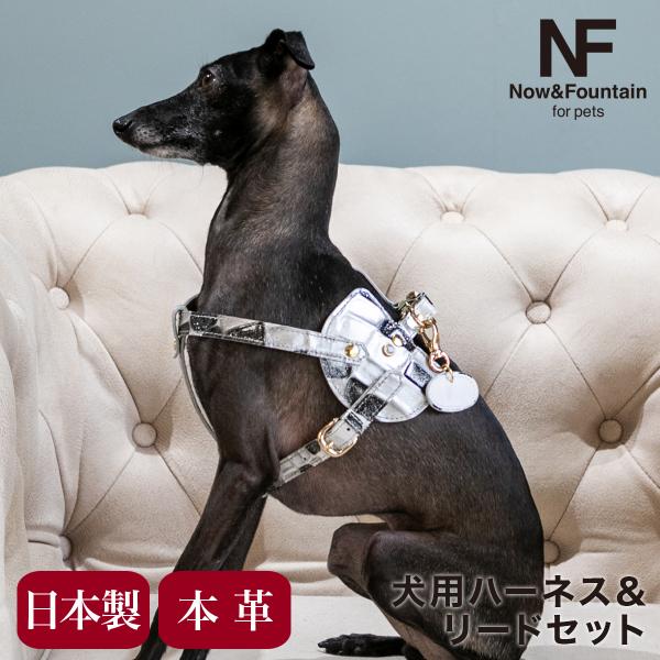 sacsbar_nffp-beltleadc3