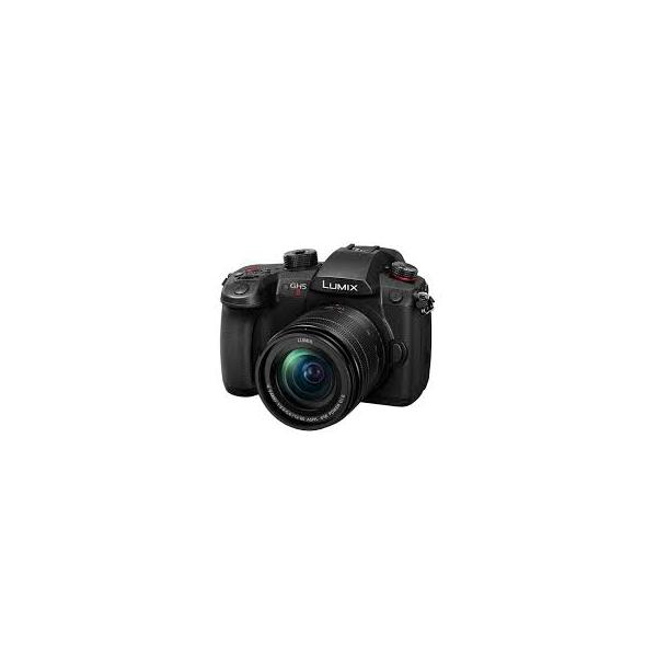 パナソニック(Panasonic) LUMIX(ルミックス) ミラーレス一眼カメラ GH5II  12-60mm標準ズームレンズキット　DC-GH5M2M