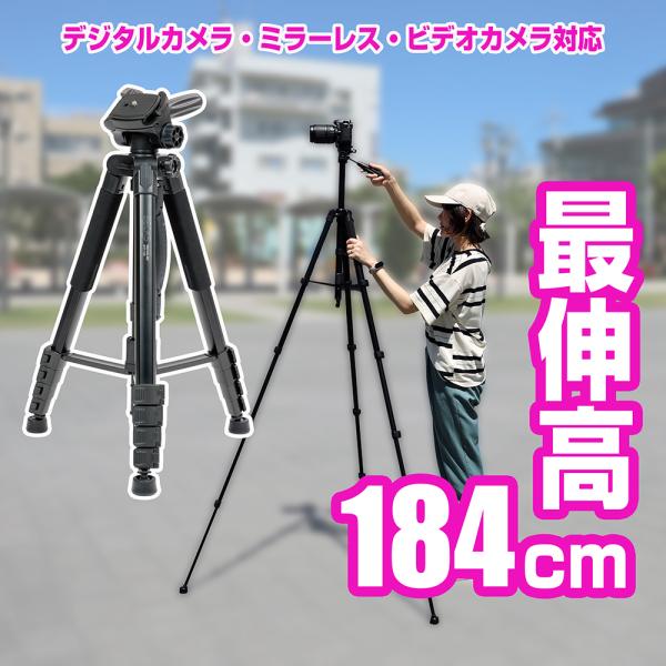 saedaonline_4580614920018
