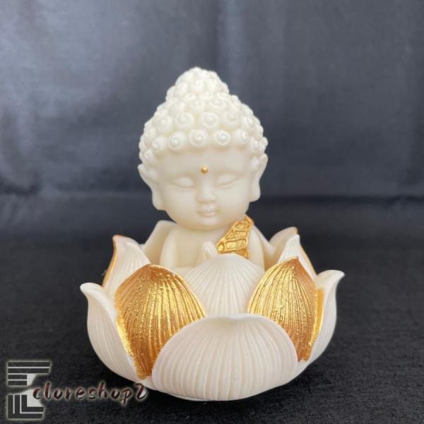 safaristore_p21693640a82c