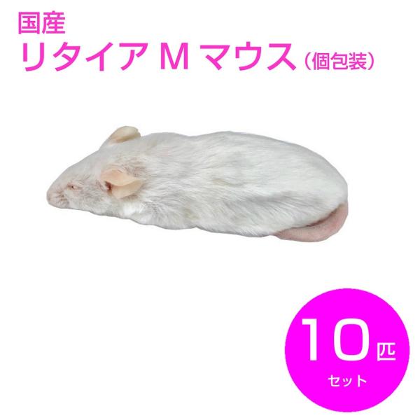 ★si-ka★国産冷凍マウス リタイア30匹 アダルトL10匹 ☆si-ka☆国産冷凍マウス リタイア30匹 アダルトL10匹 楽天市場