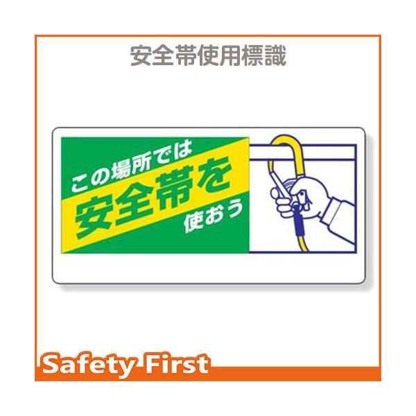 Sъ֌WW@̏ꏊł͈Sт@335-08