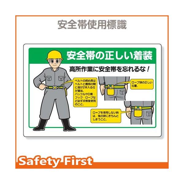 Sъ֌WW@Sт̐@335-20