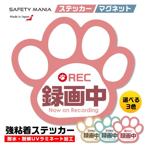 【かわいく抑止！肉球デザイン ドラレコ録画中 ステッカー（シールタイプ）】かわいい肉球デザインの「録画中」ステッカー（シールタイプ）です。後続車に注意を促し、悪質なあおり運転や追突事故を抑止する効果があります。愛犬・愛猫家、ペットを飼われて...