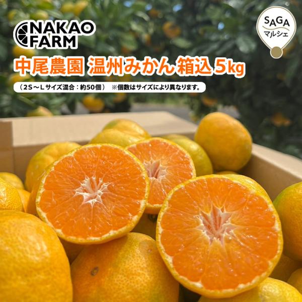 温州みかん箱込5kg 中尾農園 : SAGAマルシェYahoo!ショップ - 通販
