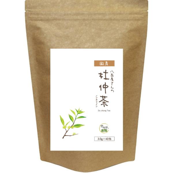杜仲茶 国産 ティーパック 3.0g×40包 ノンカフェイン とちゅうちゃ 健康茶さがん農園