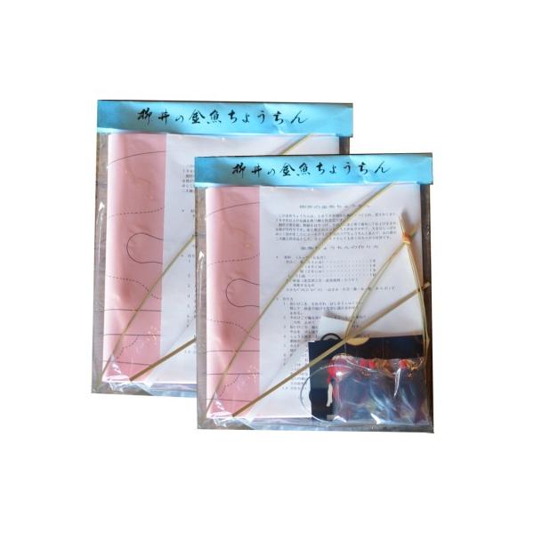 金魚ちょうちん 制作キット！2個入