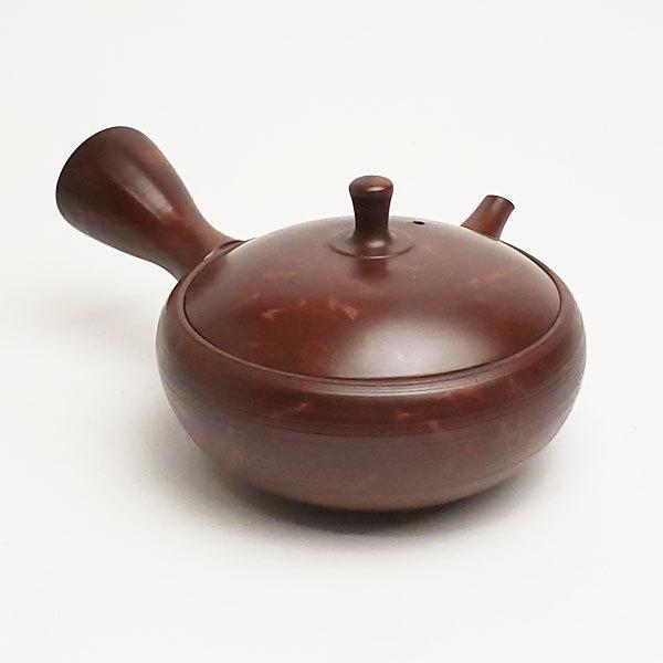 常滑焼 玉龍作 急須 セラメッシュ 160cc M256 きゅうす おしゃれ 日本製 焼き物 玉龍 作家 陶器 陶磁器 日本六古窯 小さい急須 小さい 常滑市 ティーポット Ikai L 156 器茶房 彩庵yahoo ショップ 通販 Yahoo ショッピング