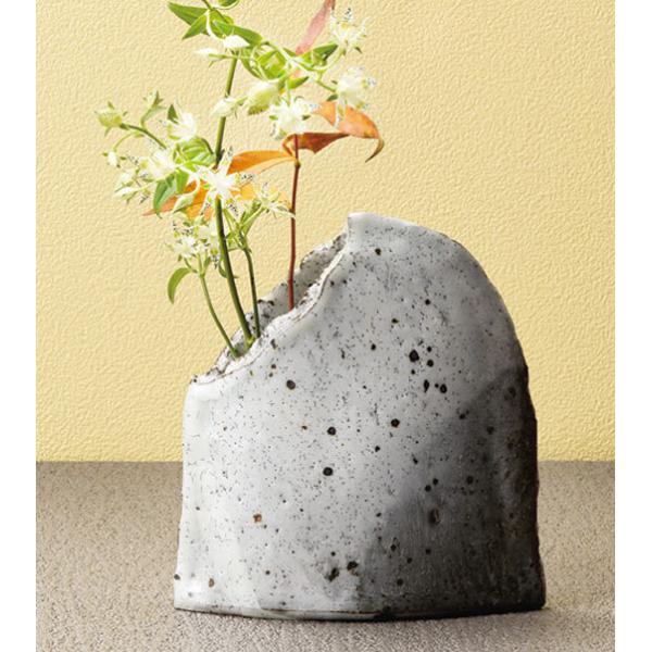 ֑} ԕr Z 12cm  Y1853|  { H|i m aH  Ԋ ԓ t[x[X ̓ ̓ v[g Mtg