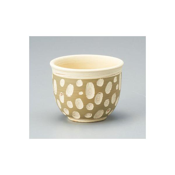 튊  ΐ  120cc  Y96| ̂  {  ʘI    Mtg v[g ƂȂ߂₫  H aH  