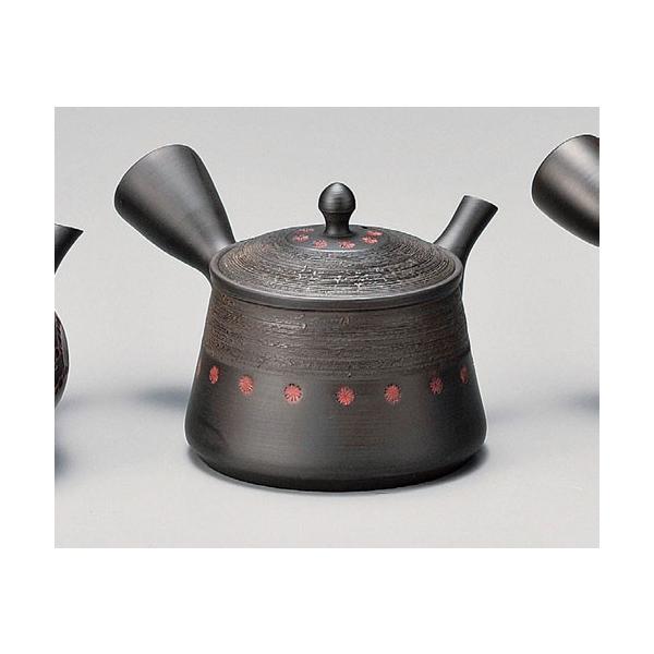 }{ 튊 ʌ }{ 200cc ZbV Y231 | イ  { 튊 튊s m m [   Lb`G Ă   