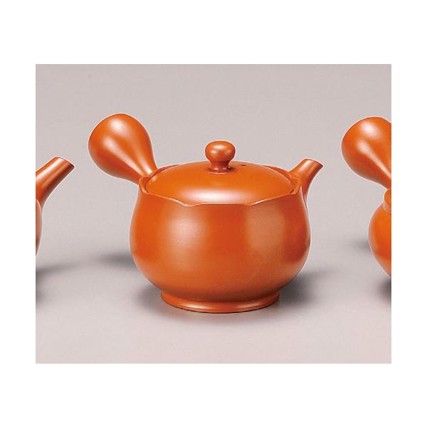 }{ 튊 [}{ 220cc ̂ݒ Y651 | イ  { 튊 튊s m m [   Lb`G Ă   