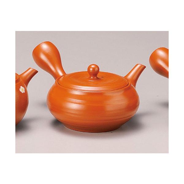 }{ 튊 [}{ 290cc ̂ݒ Y654 | イ  { 튊 튊s m m [   Lb`G Ă   