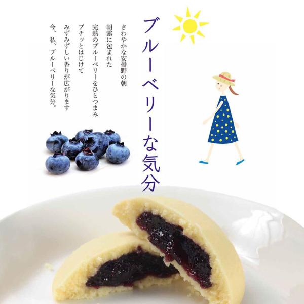 ブルーベリーな気分5個入