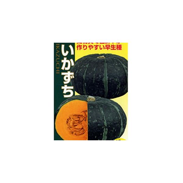 J{`̎    100 ( ؂̎ )